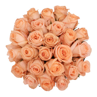 Blooming Boxes, Peach Roses Peach roses - fresh-cut roses by Bloomingmore - ideal for weddings and floral events