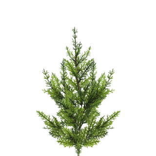 Cypress - 200 Stems Green flowers - fresh-cut flowers by Bloomingmore - ideal for weddings and floral events