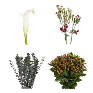 DIY Design Collection - Delight - 160 Stems DIY flowers - fresh-cut flowers by Bloomingmore - ideal for weddings and floral events