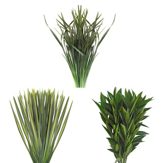 Assorted Flax, Lily Grass & Cocculus Combo Box Green flowers - fresh-cut flowers by Bloomingmore - ideal for weddings and floral events