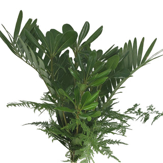 Sun Mixed Greens Bouquet Green flowers - fresh-cut flowers by Bloomingmore - perfect for gifting or decoration