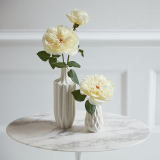 Leonora (AKA Ella) - David Austin Garden Rose  - 36 stems Yellow roses - fresh-cut roses by Bloomingmore - ideal for weddings and floral events