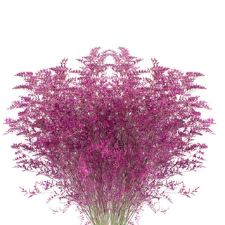 Hot Pink Tinted Limonium - 15 Bunches Pink flowers - fresh-cut flowers by Bloomingmore - ideal for weddings and floral events