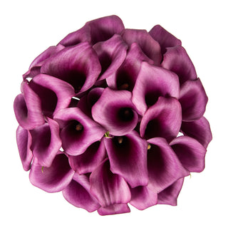Purple Mini Calla Lilies Purple flowers - fresh-cut flowers by Bloomingmore - ideal for weddings and floral events