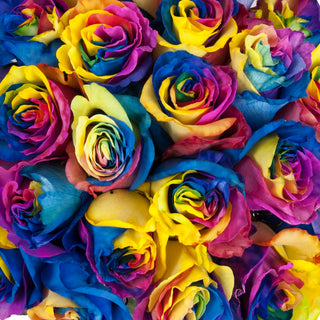 Painted & Tinted Flowers – Where Imagination Blooms
