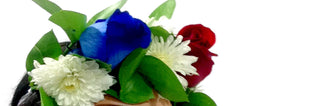 white, red and blue painted hydrangeas, 4th of July flowers