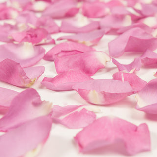 Lavender Rose Petals Lavender roses - fresh-cut roses by Bloomingmore - perfect for gifting or decoration