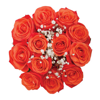Dozen Orange Roses Bouquet - pack 18 Orange roses - fresh-cut roses by Bloomingmore - ideal for weddings and floral events