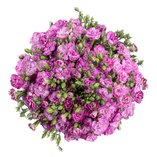 Rafines Louis Green flowers - fresh-cut flowers by Bloomingmore - ideal for weddings and floral events