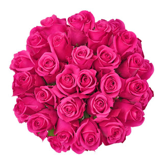 Hot Pink Roses - Choose from 25 to 200 Stems Pink roses - fresh-cut roses by Bloomingmore - ideal for weddings and floral events