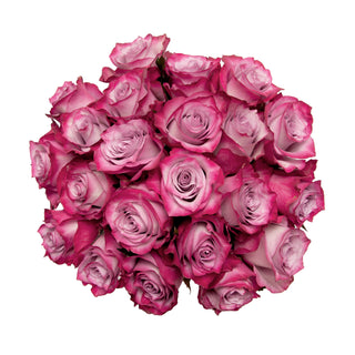 Lavender Roses - Choose from 25 to 200 Stems Lavender roses - fresh-cut roses by Bloomingmore - ideal for weddings and floral events