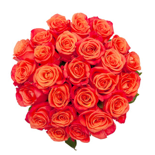 Orange Roses - Choose from 25 to 200 Stems Orange roses - fresh-cut roses by Bloomingmore - ideal for weddings and floral events