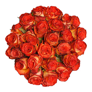 Assorted Novelty Roses - Choose from 25 to 200 Stems Yellow roses - fresh-cut roses by Bloomingmore - ideal for weddings and floral events