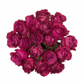 Blueberry Roses Pink roses - fresh-cut roses by Bloomingmore - ideal for weddings and floral events