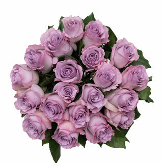 Blue Dream Roses Lavender roses - fresh-cut roses by Bloomingmore - ideal for weddings and floral events