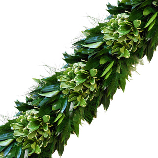 Fresh handmade garland, cocculus, variegated pittosporum, plumosa greens