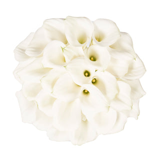 White Mini Calla Lilies White flowers - fresh-cut flowers by Bloomingmore - ideal for weddings and floral events