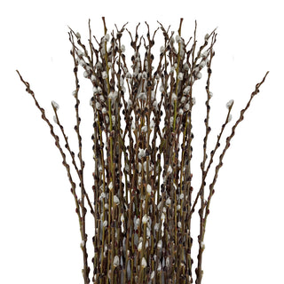 Willow filler flower