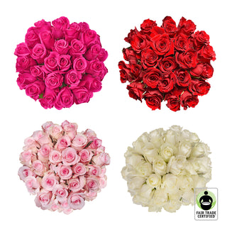Fair Trade Natural Assorted Roses - 100 Stems Pink roses - fresh-cut roses by Bloomingmore - ideal for weddings and floral events