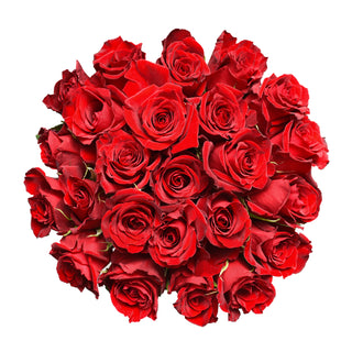 Red Roses - Choose from 25 to 200 Stems Red roses - fresh-cut roses by Bloomingmore - ideal for weddings and floral events