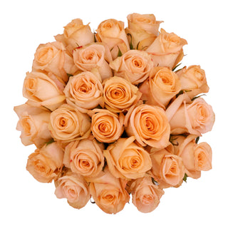 Tiffany Roses Peach roses - fresh-cut roses by Bloomingmore - ideal for weddings and floral events
